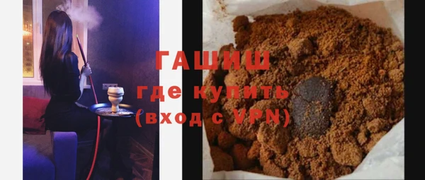 индика Дмитриев