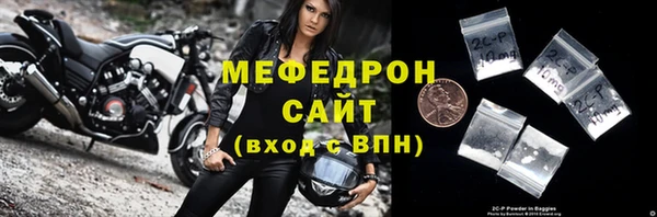 индика Дмитриев