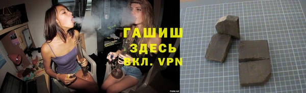 spice Ельня