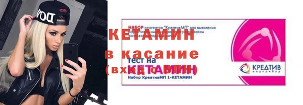 индика Дмитриев