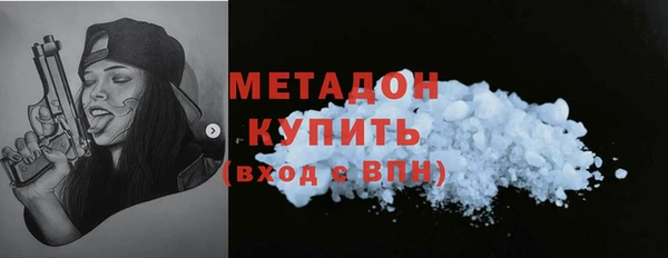 индика Дмитриев