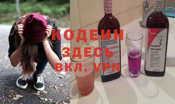 spice Ельня