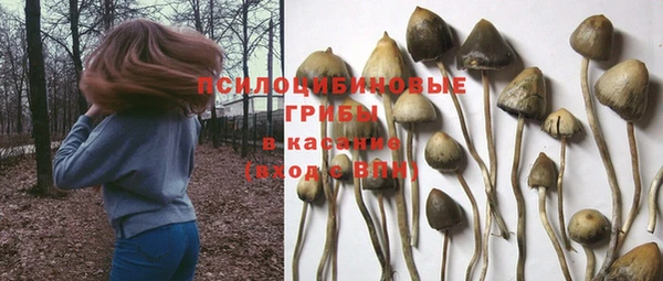 индика Дмитриев