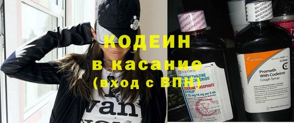 индика Дмитриев