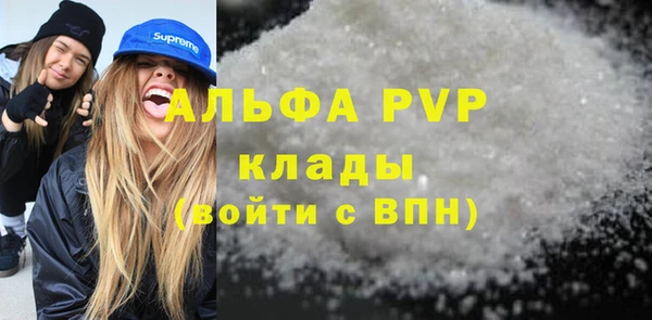 индика Дмитриев