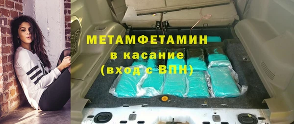 индика Дмитриев